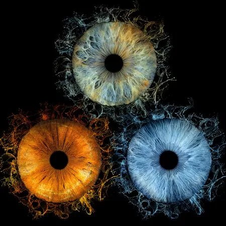 Iris Galerie Toulon