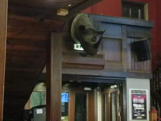 Bar Cuda