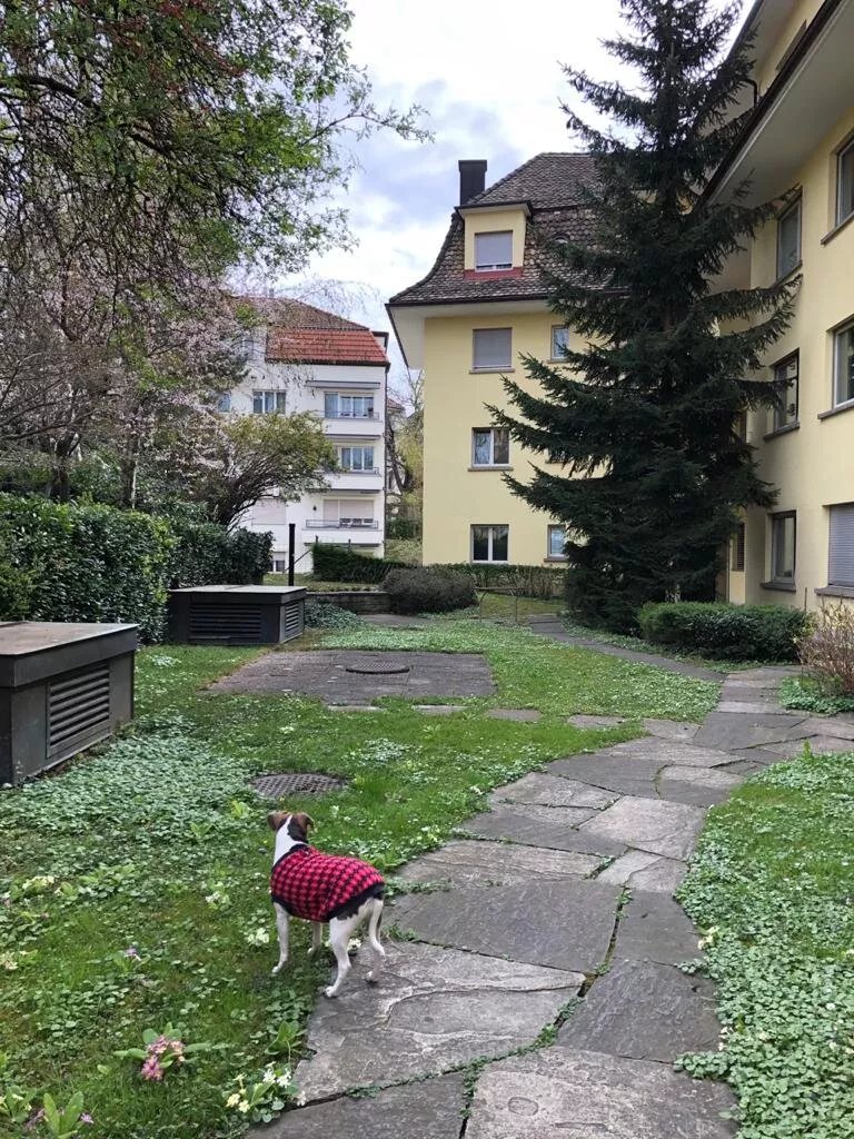 City Stay Furnished Apartments - Forchstrasse
