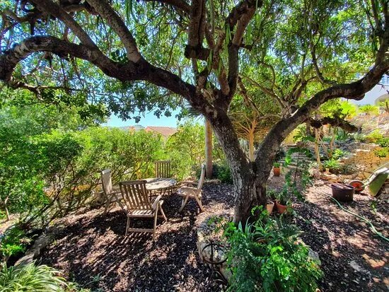 Samar Garden Denia