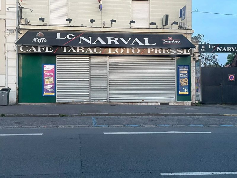 Le Narval