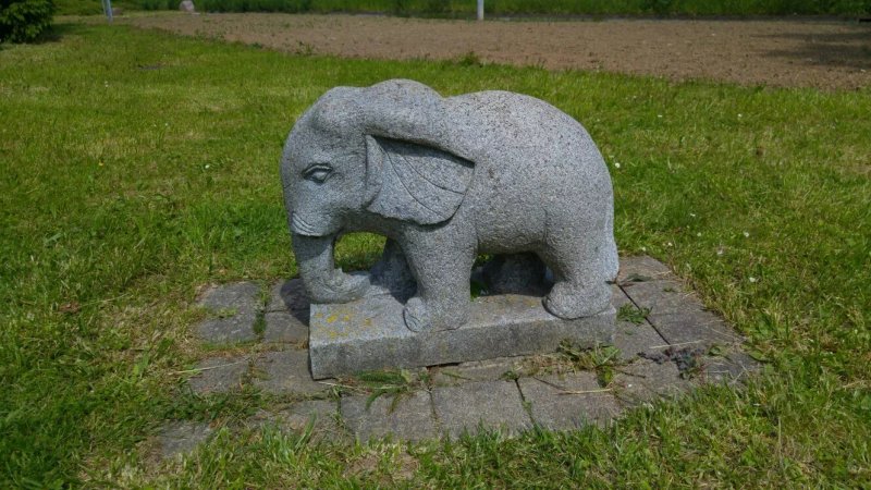 Elefantenstuble