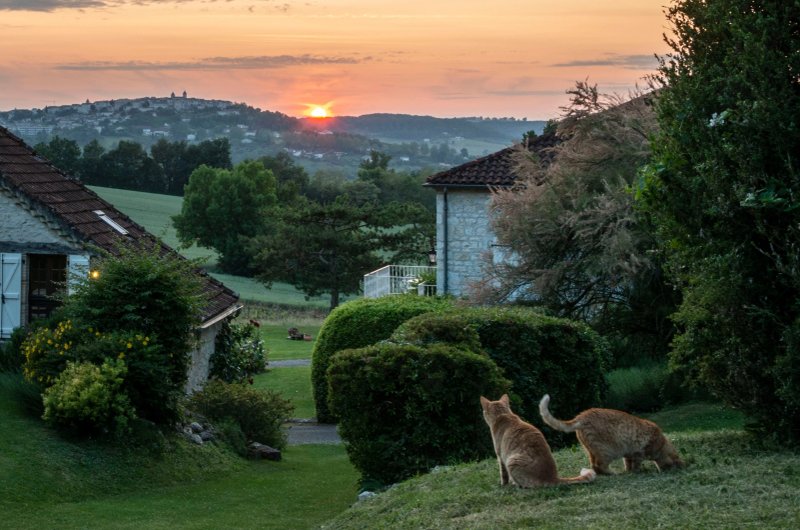 Lamoulere Luxury Gite
