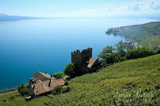 Swiss Riviera Wine Tours