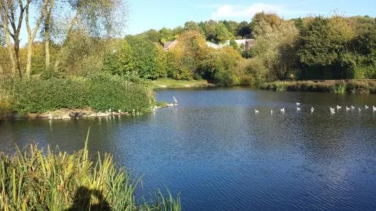 Capstone Farm Country Park