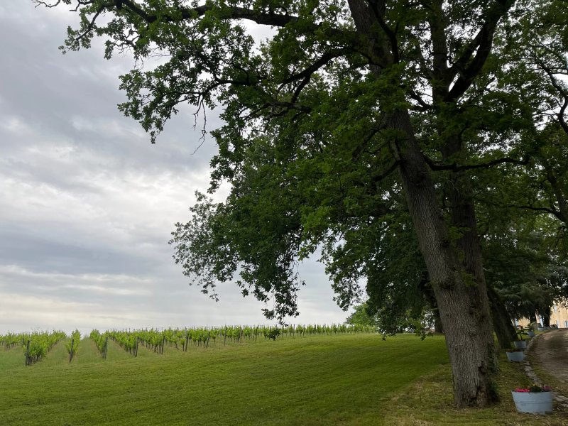 Chateau La Fleur de Quinsac