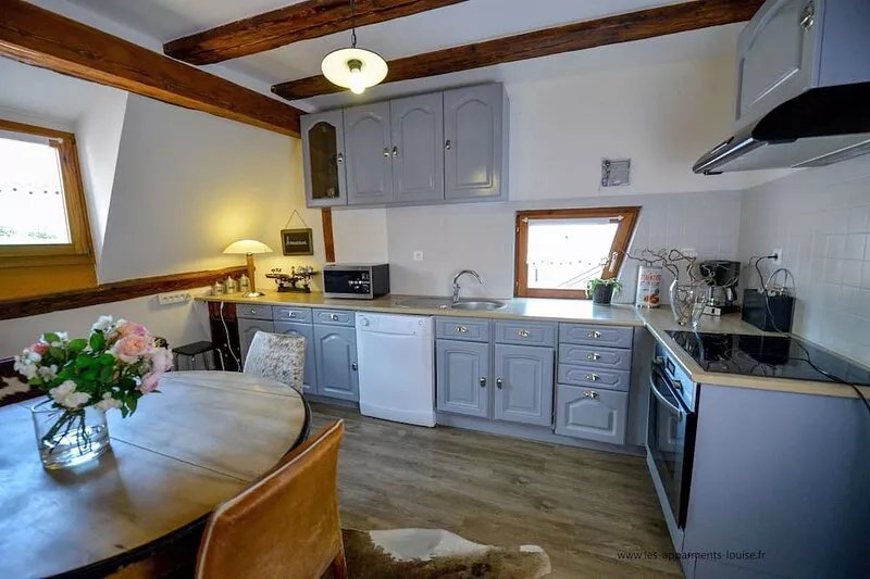 View over the vines in a completely renovated Alsatian house.