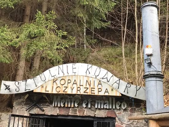 Liczyrzepa Mine (Kopalnia Liczyrzepa)