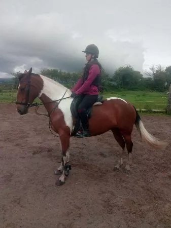 Blennerville Equestrian Centre