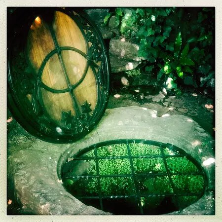 The Natural Health Sanctuary