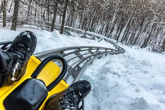 Bob Loricaly - Alpine Coaster
