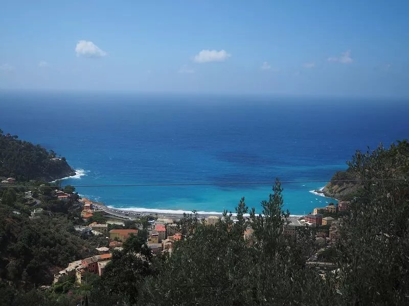 Among olive trees and lavender, small detached house with garden and private
