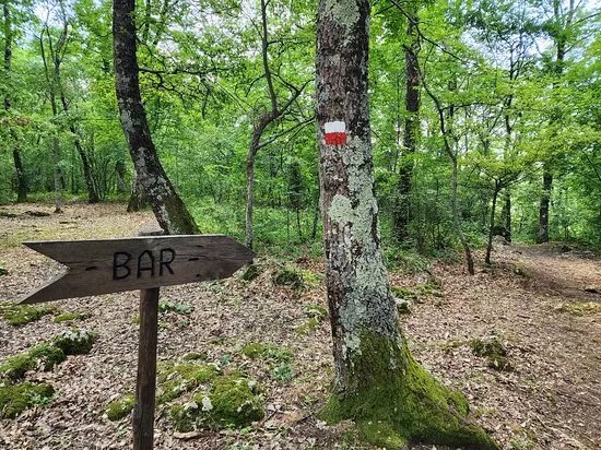 Parco Archeologico Naturalistico e Archeodromo di Belverde