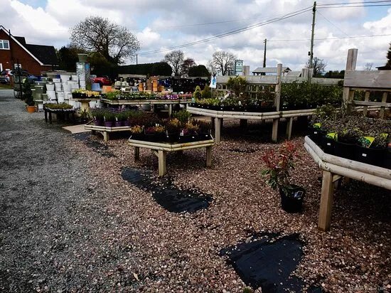 Woodhouse Green Nurseries