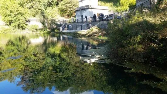 Sorgente del fiume Mercure