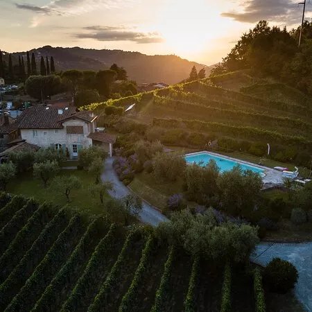 Tenuta Mareli - Esperienza di degustazione vini