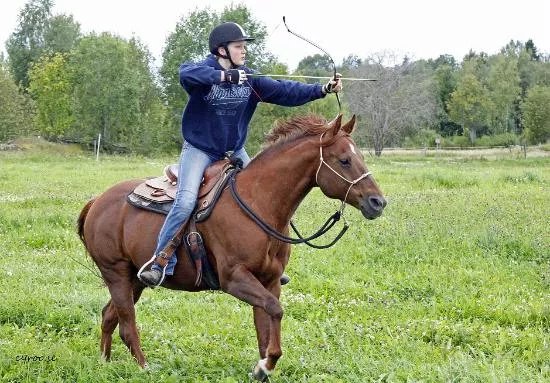 Dalecarlian Horse Adventures