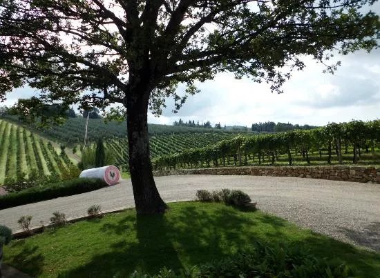 Guido's Tours - Wine Tours in Tuscany