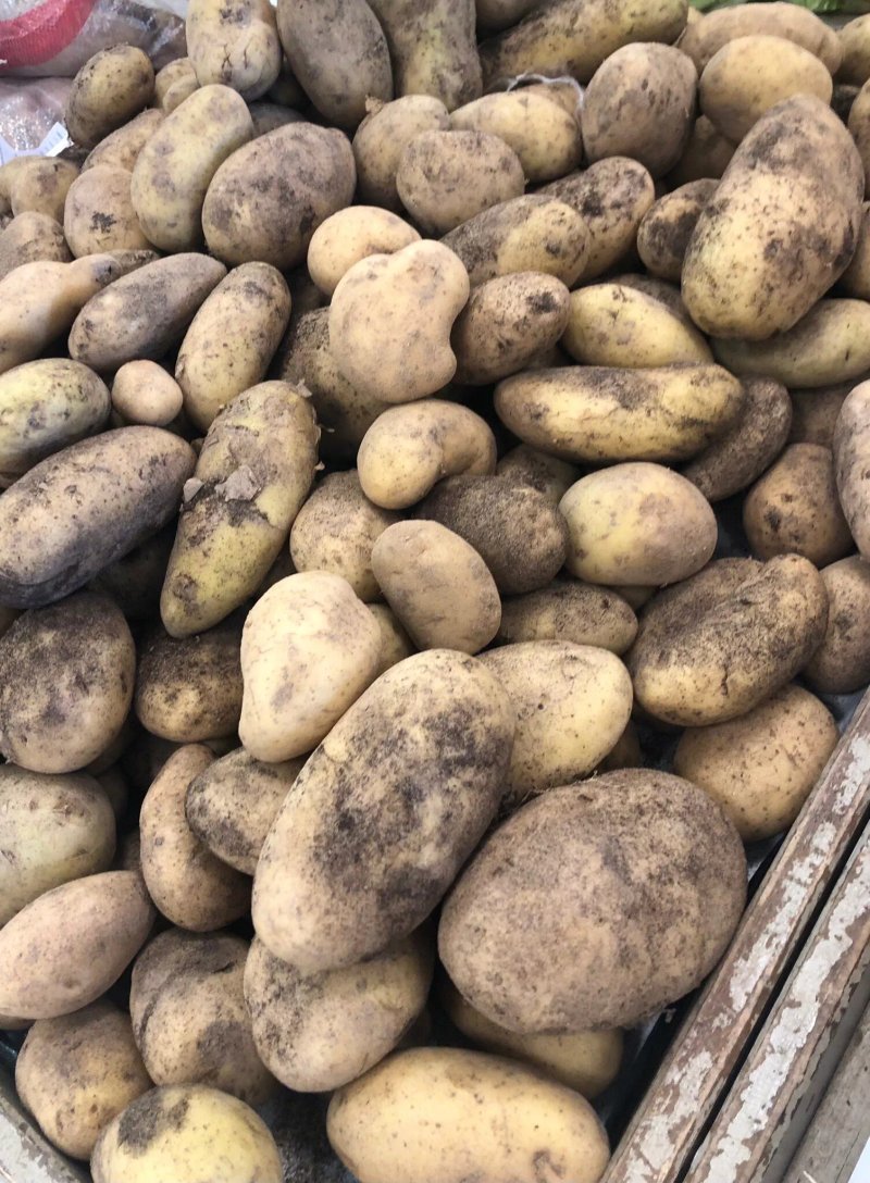 Mercato Contadino