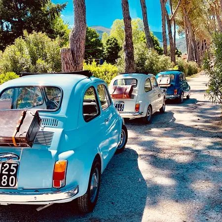 Drive The Vintage