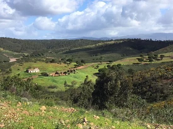 Portugal Walks