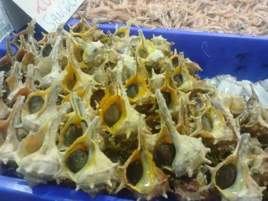 Mercado de Abastos
