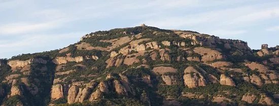 Rossinyol Nou