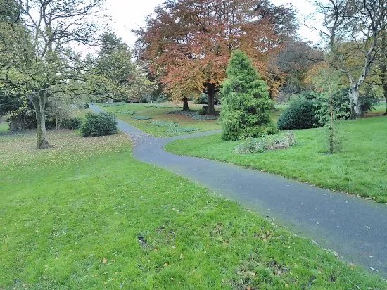 Musgrave Park