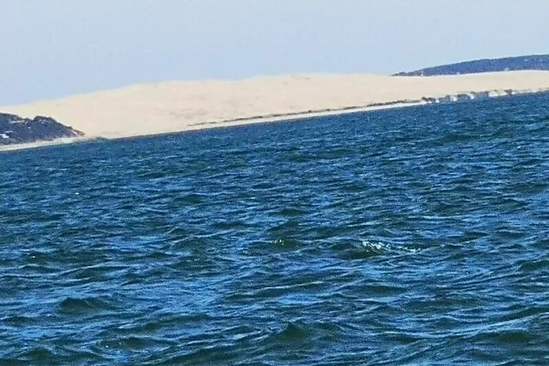 "LA MAISON DU PHARE" CAP FERRET PLEIN CENTRE, 100 m from Minbeau beach,