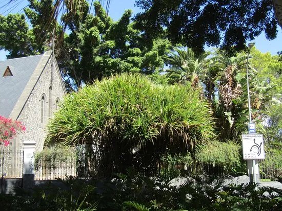 Iglesia De San Jorge