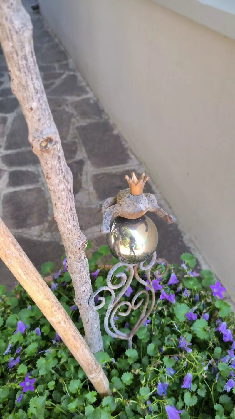 B&B Estercarlo