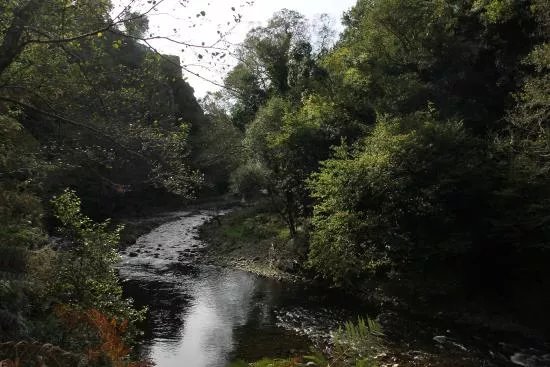 Hoces del Esva