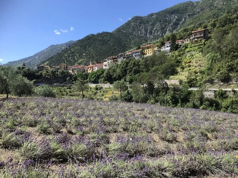 Large house (sleeps 6-40) in middle of a charming Italian village on the border