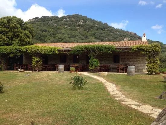 Piero Mancini Vineyards (Balajana Estate)