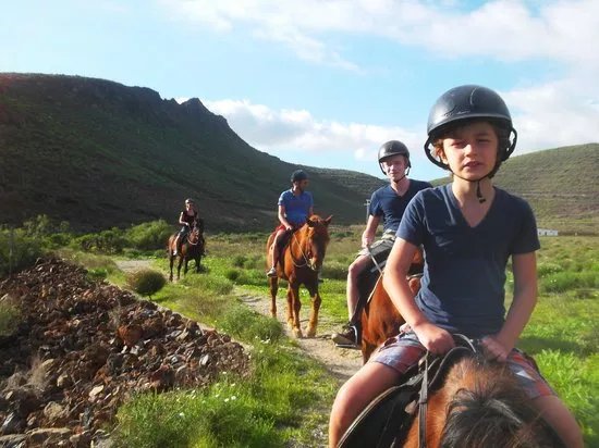 Horse Riding Adventures In Tenerife