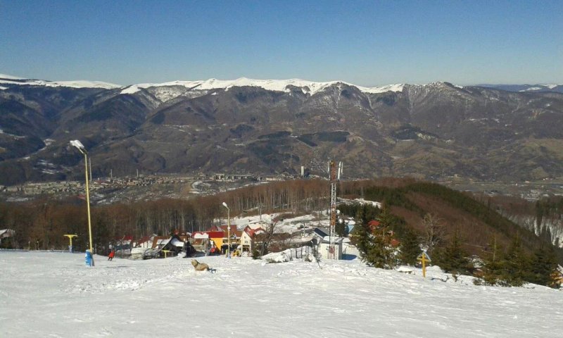 Cabana Montana