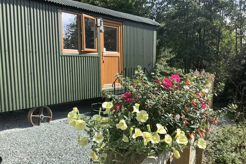 Shepherds Hut, self catering, Powys
