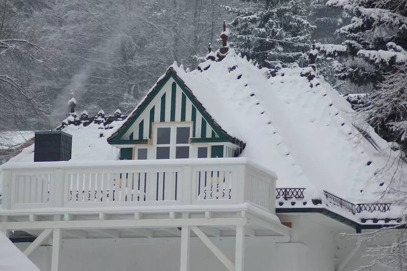 Entire villa on a large garden plot by the park