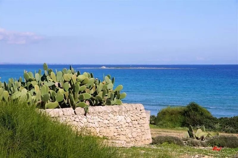 Unforgettable sunrises and spectacular sunsets in a house of new renovation on
