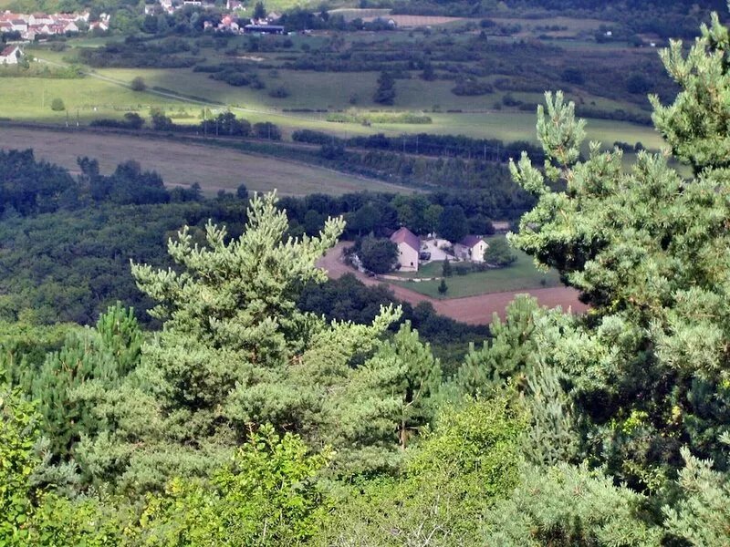 Old renovated farmhouse, 20 min from Dijon, 1243 miles from the Vineyard coasts