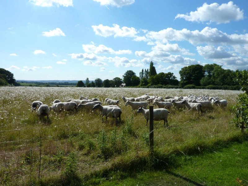 Haddon Acre