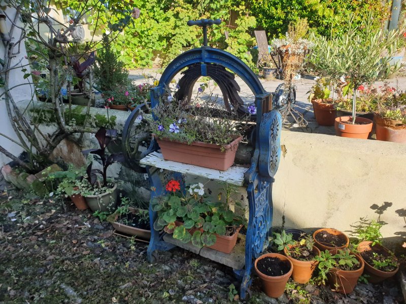 Belgrave Bed  & Breakfast