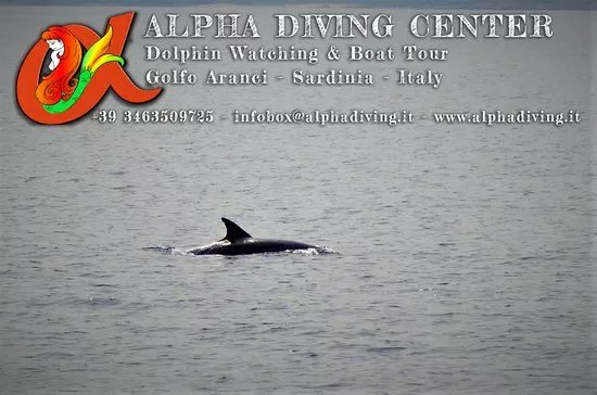 Alpha Diving Center - La Casa delle Sirene