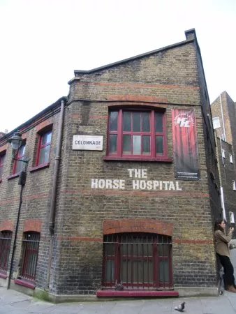 The Horse Hospital