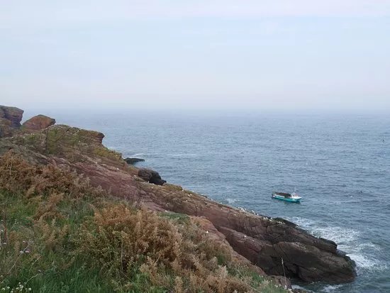 Arbroath to Auchmithie Coastal Path