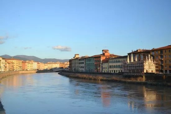 Arno Vivo