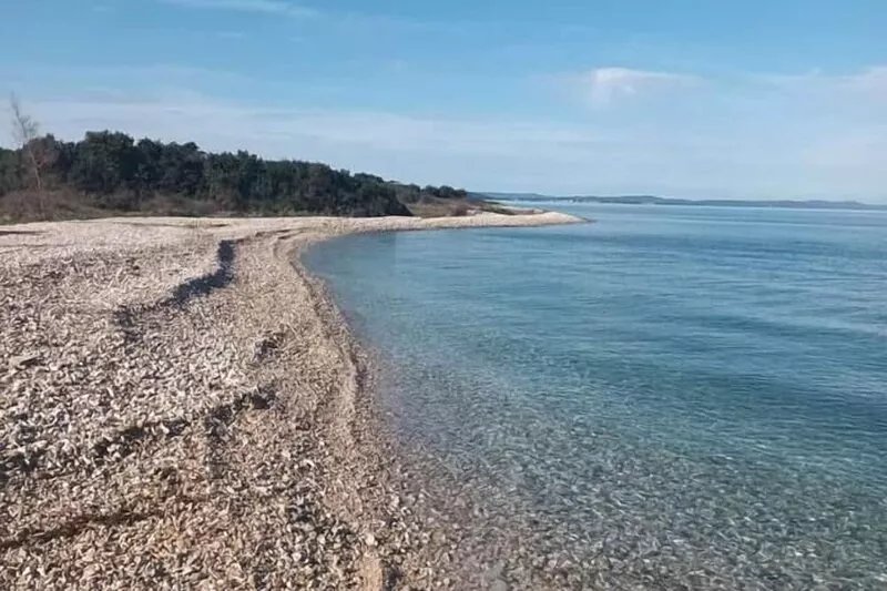 Two bedroom apartment with terrace Zadar (A-21958-a)