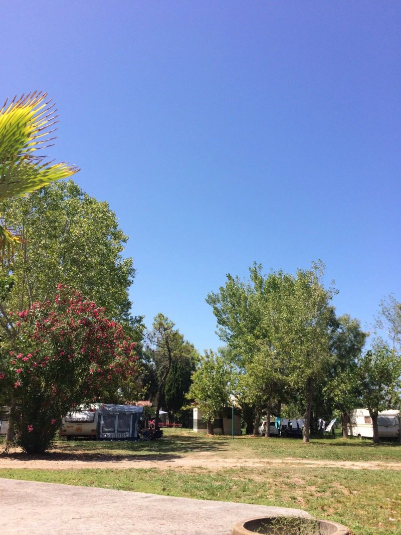 Camping FREE-BEACH