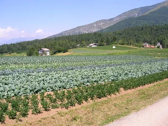 Monte Creino