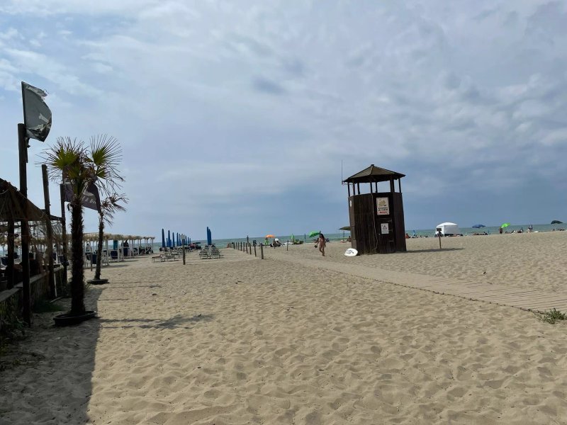 I Girasoli di Migliarino